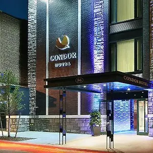 Condor Brooklyn Verenigde Staten